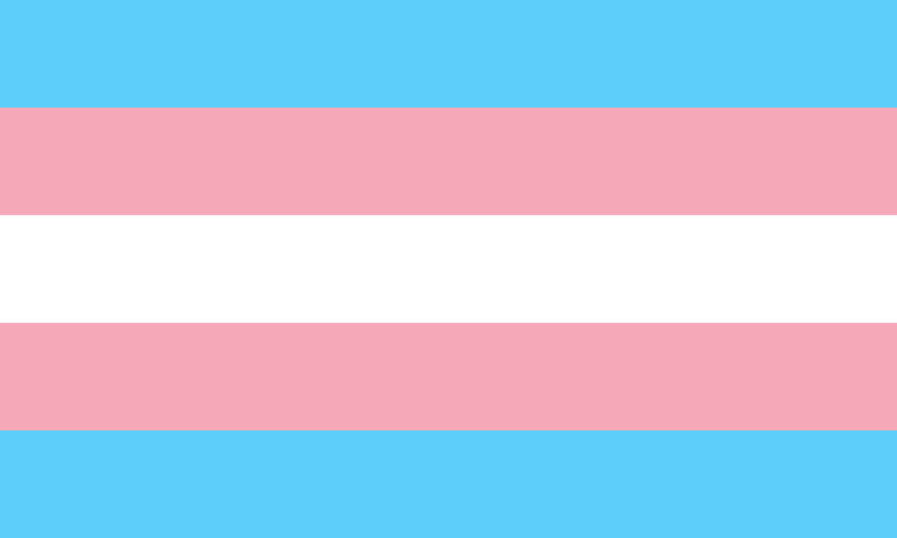 A transgender flag.